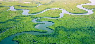 Merevolusikan Pengairan Pertanian: Peranan Paip PVC dan Kelengkapan
